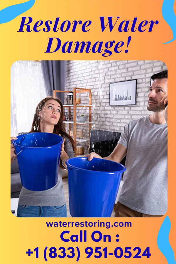 water restoration First Water Solutions Pros Montgomery
