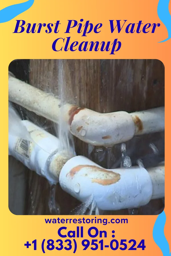 Burst Pipe Water Cleanup in Montgomery, WV