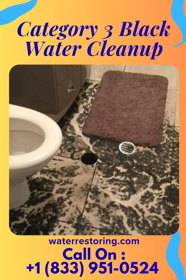 Category 3 Black Water Cleanup in Montgomery, WV
