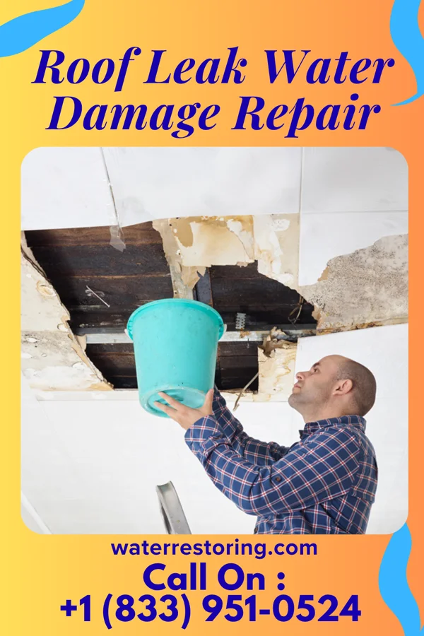 Roof Leak Water Damage Repair in Montgomery, WV