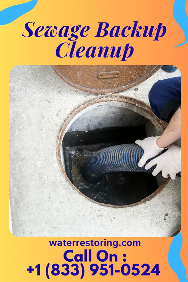 Sewage Backup Cleanup in Montgomery, WV