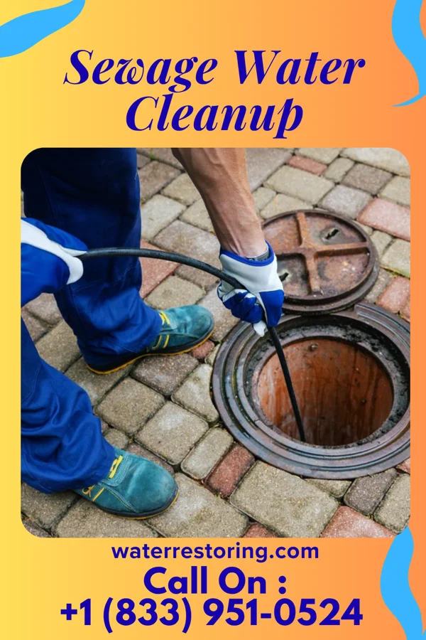 Sewage Water Cleanup in Montgomery, WV