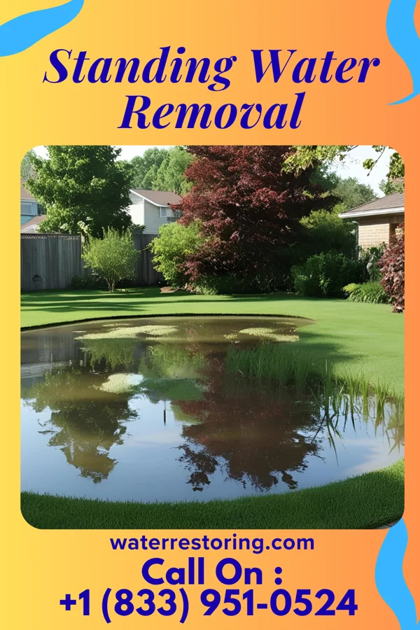 Standing Water Removal in Montgomery, WV